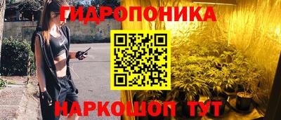 крисы Ливны