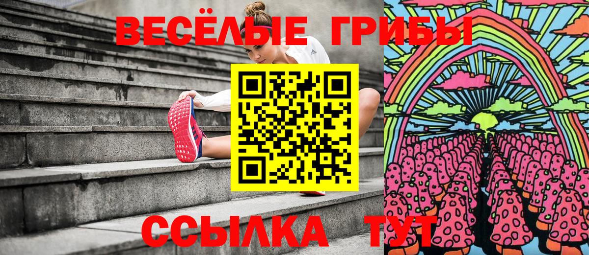 Кольчугино  Галлюциногенные грибы мухоморы  Вход с VPN 
